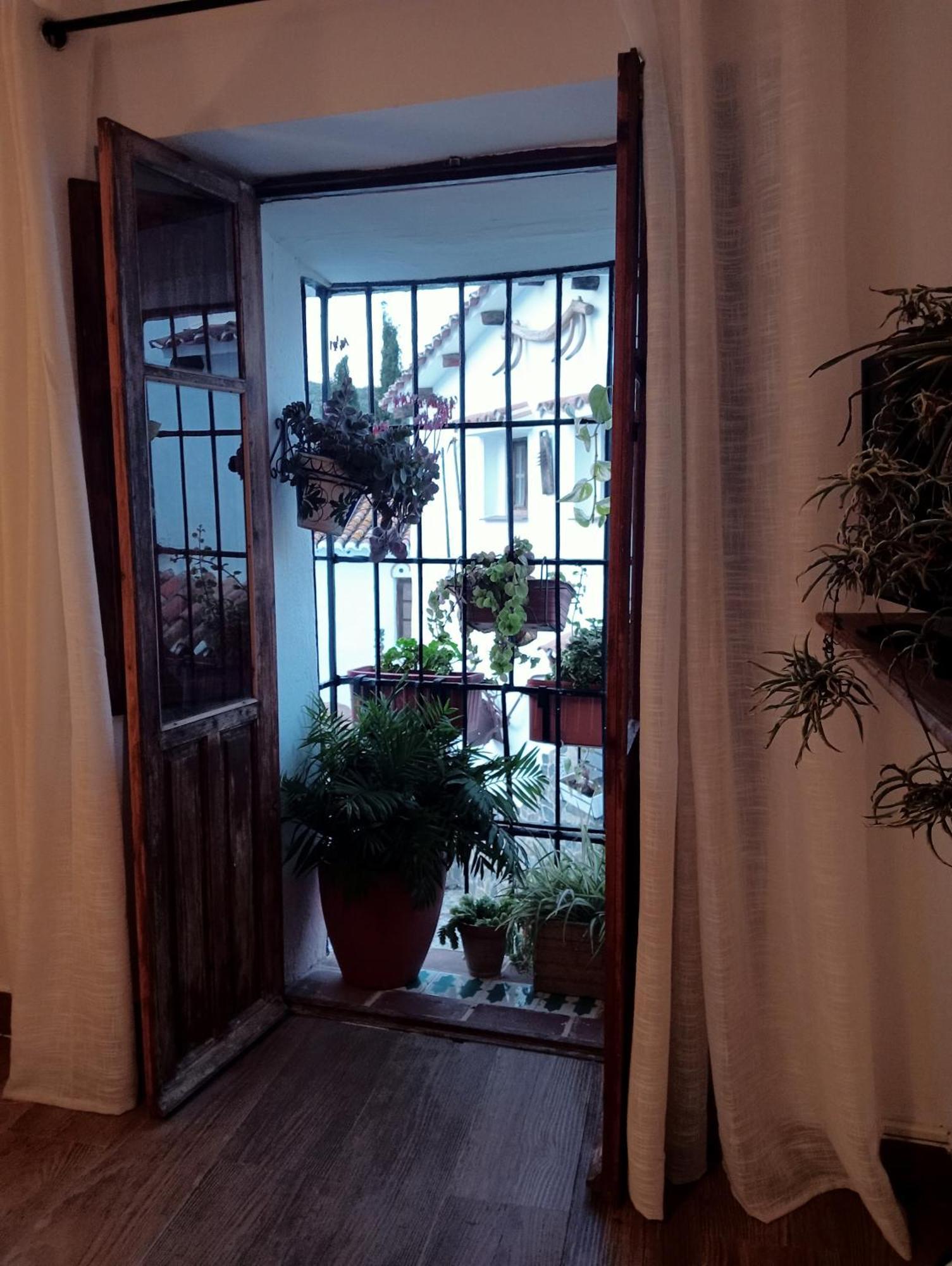 Jardin De Mucho Apartment Macharaviaya Екстериор снимка